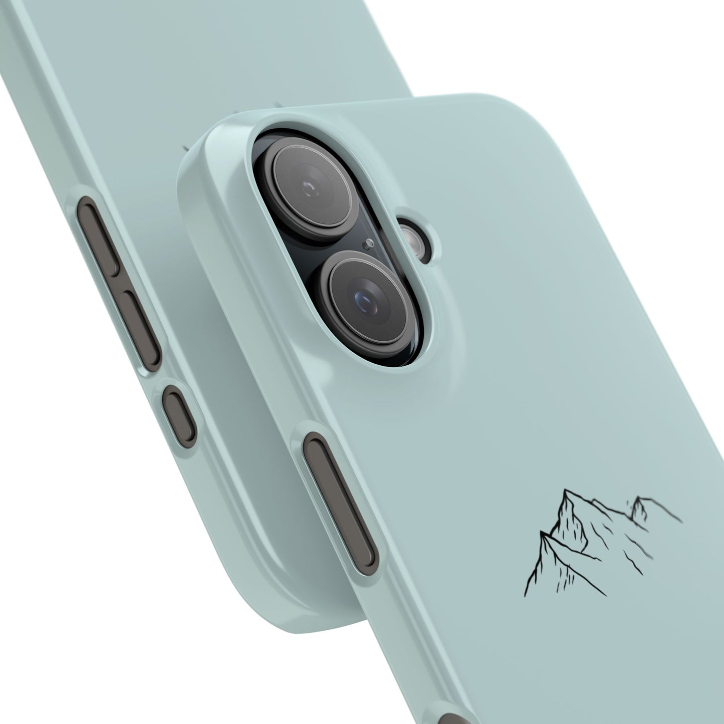 Mountains case